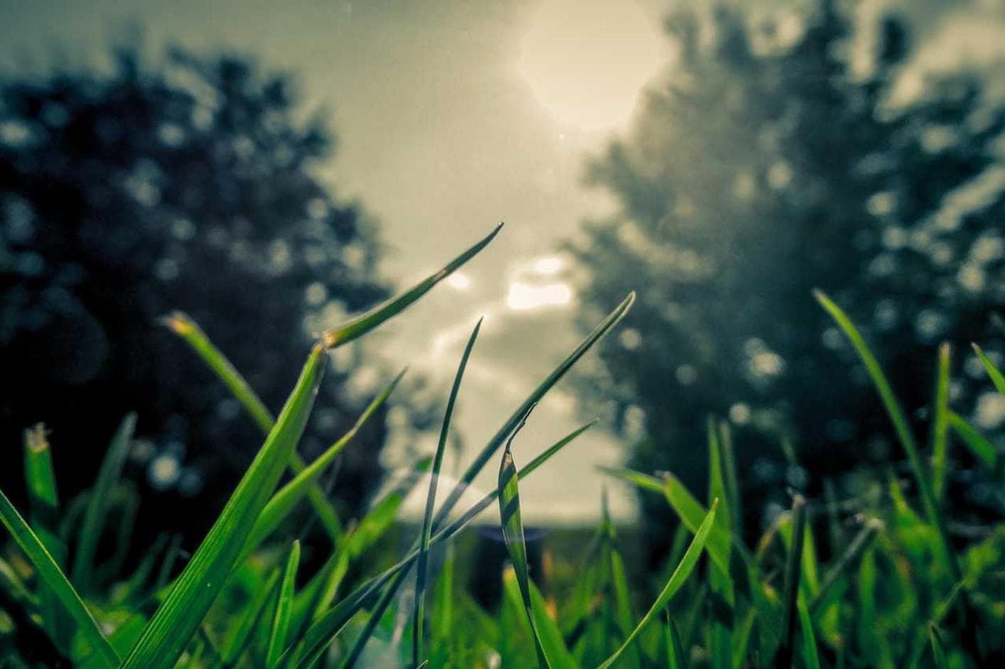 Rerum nisi aspernatur ratione